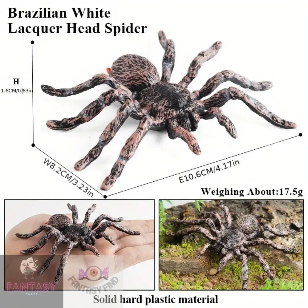 Realistic Animal Spider