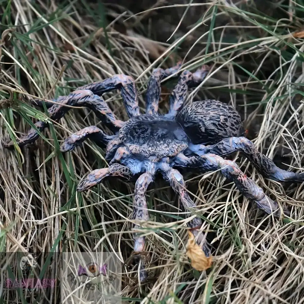 Realistic Animal Spider